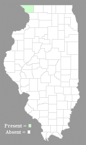 Distribution Map