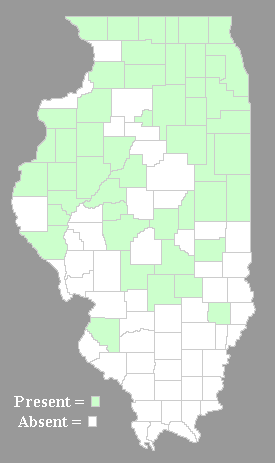 Distribution Map