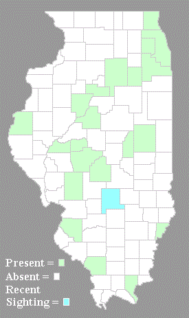 Distribution Map