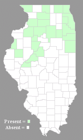 Distribution Map