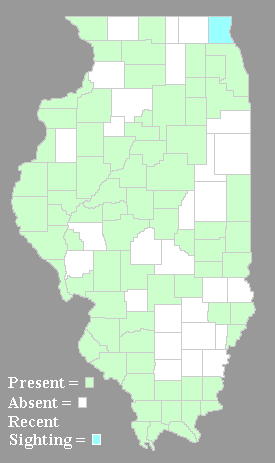 Distribution Map